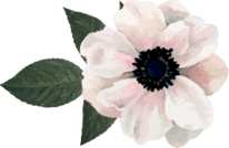 flower 1