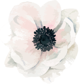 flower 3