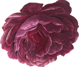 flower 3