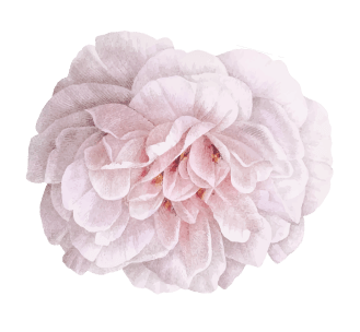 flower 3
