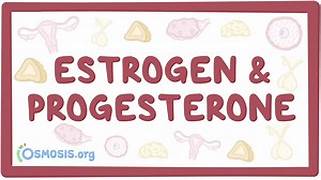 Estrogen and Progesterone: Their Roles and Regulation in the Body