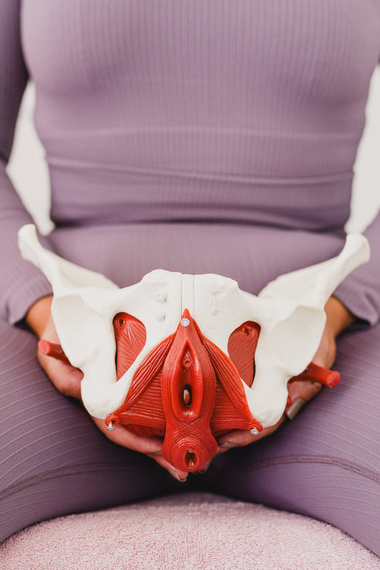 The Importance of Pelvic Floor Awareness: Recognizing, Understanding, and Preventing Issues