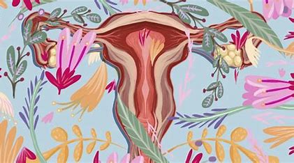 closingvulva, treatments, hormonalfluctuations